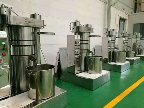 10吨植物油精炼设备